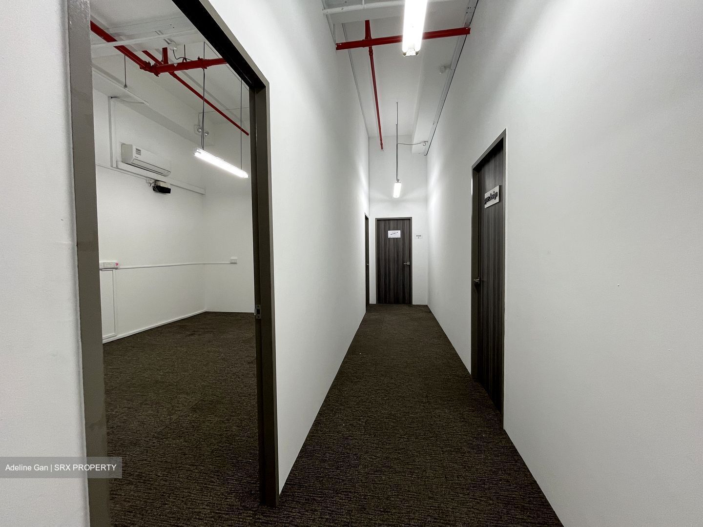 Primz Bizhub (D25), Factory #553959251